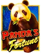 ประวัติคาสิโนและความหลากหลายของเกมสุดคลาสสิค